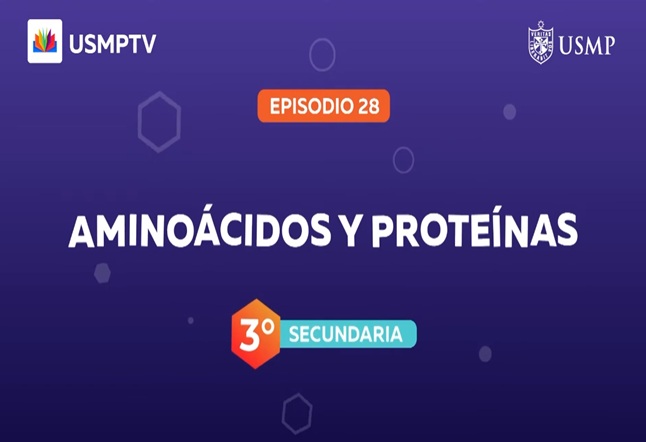 Capítulo N° 28 - Aminoácidos y Proteínas